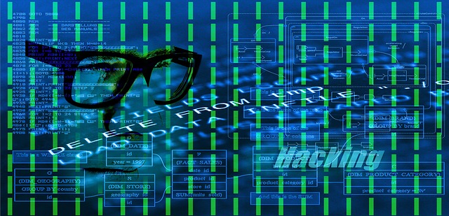 Factor Humano y su relación con la ciberseguridad